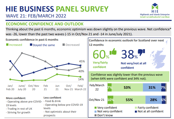 HIE BUSINESS PANEL SURVEY