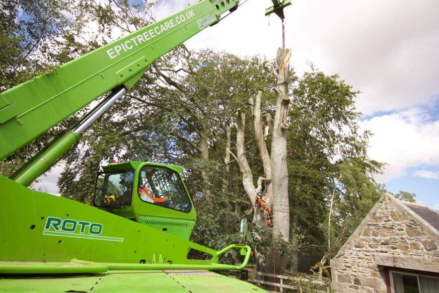 Moray tree surgeons celebrate a successful decade in business