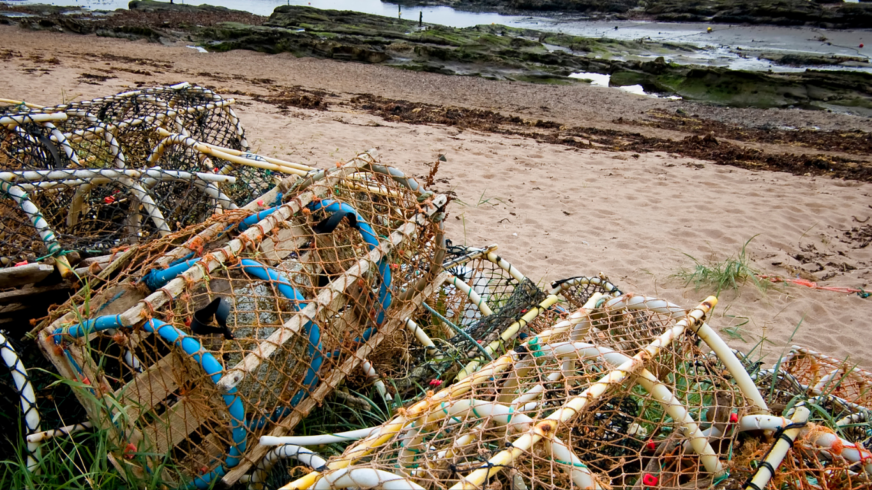 Coastal Communities Fund Grant Scheme