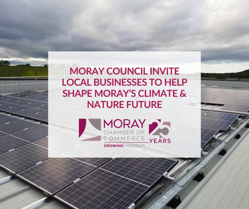 Encouraging Local Businesses to Shape Climate & Nature Strategy