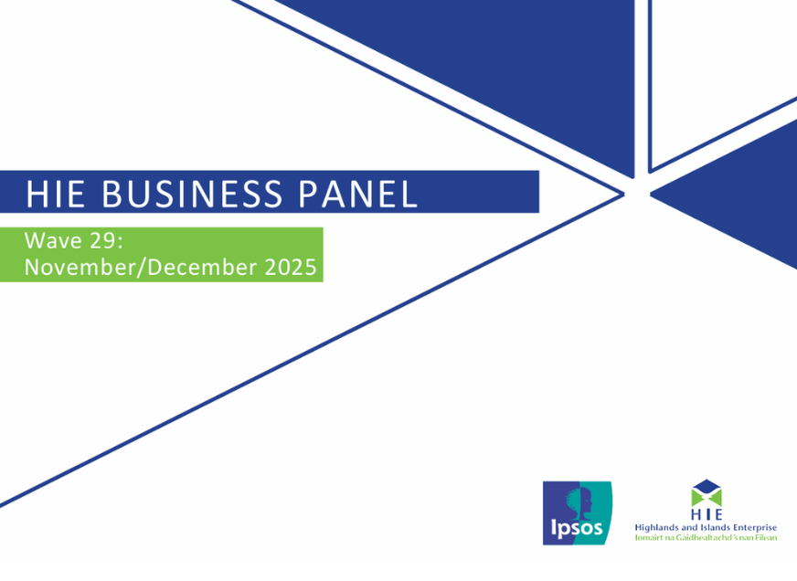 HIE Business Panel Survey