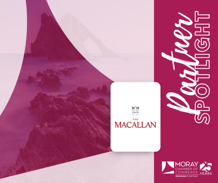 TimeSpirit Celebrates Its First Anniversary