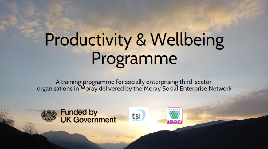 Productivity & Wellbeing Programme