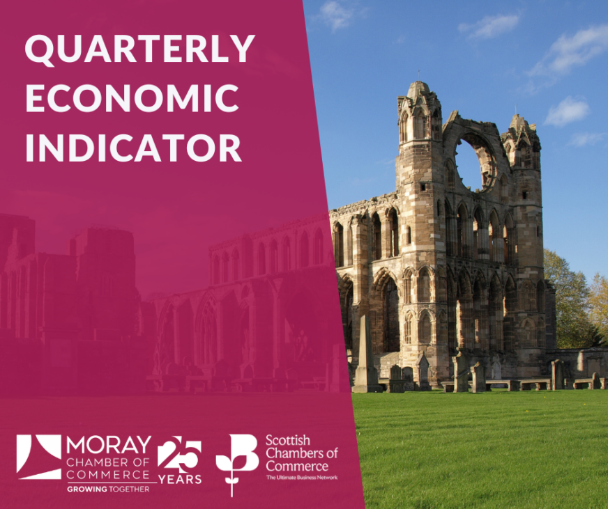 The Quarterly Economic Indicator (QEI) for Q1 2026 is Now Live