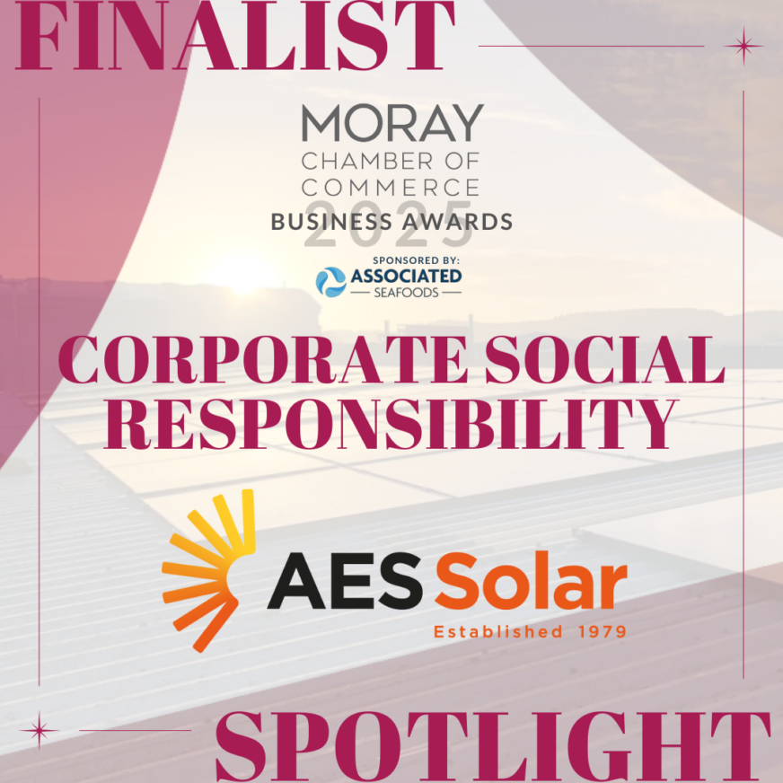 Finalist Spotlight 2025: Corporate Social Responsibility Award - AES Solar