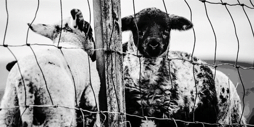 Funding and Support from HIE