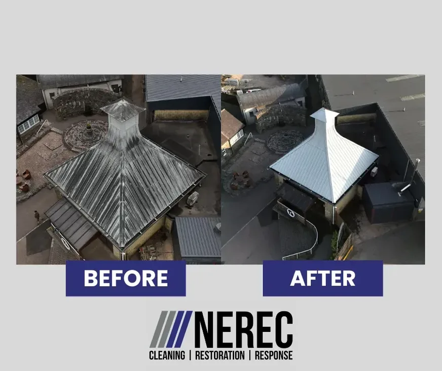 Whisky Mould Cleaning — How to Identify, Treat and Manage Baudoinia at Distilleries