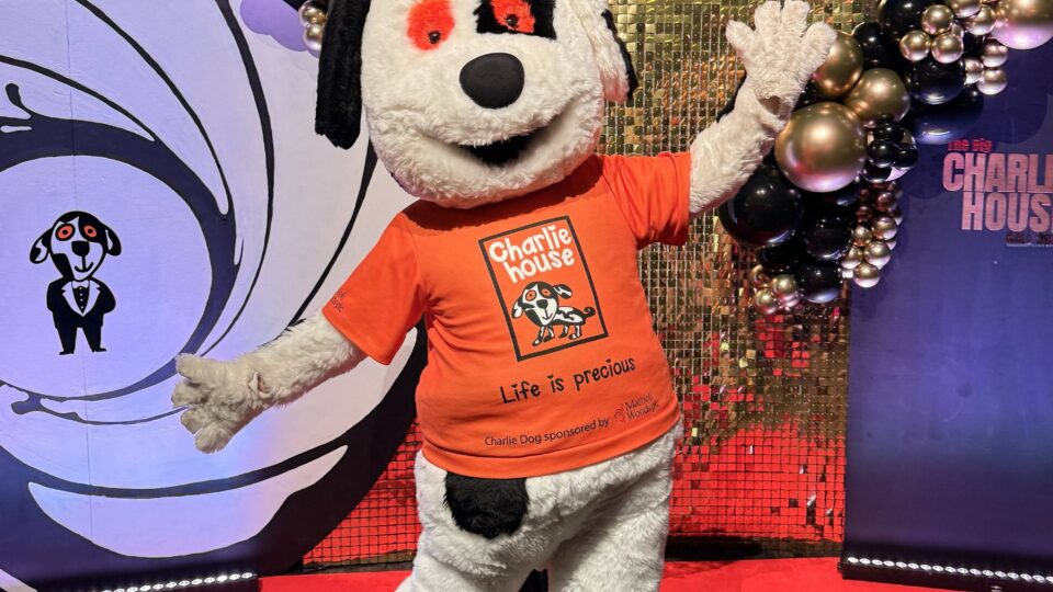 Final Call for Charity Ball Sponsor