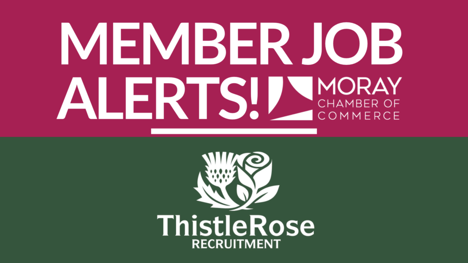 Member Vacancy | Thistle Rose Recruitment