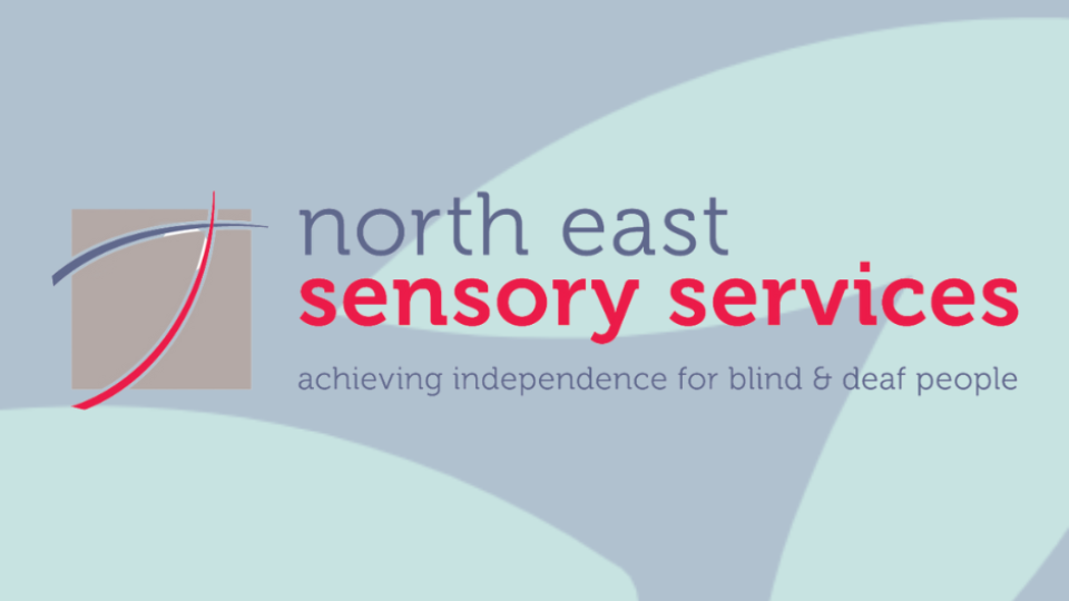 NESS reaches Investors in People Awards final