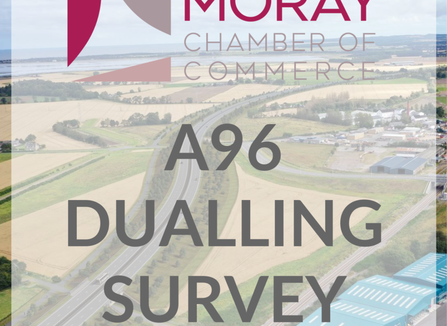 A96 DUALLING SURVEY