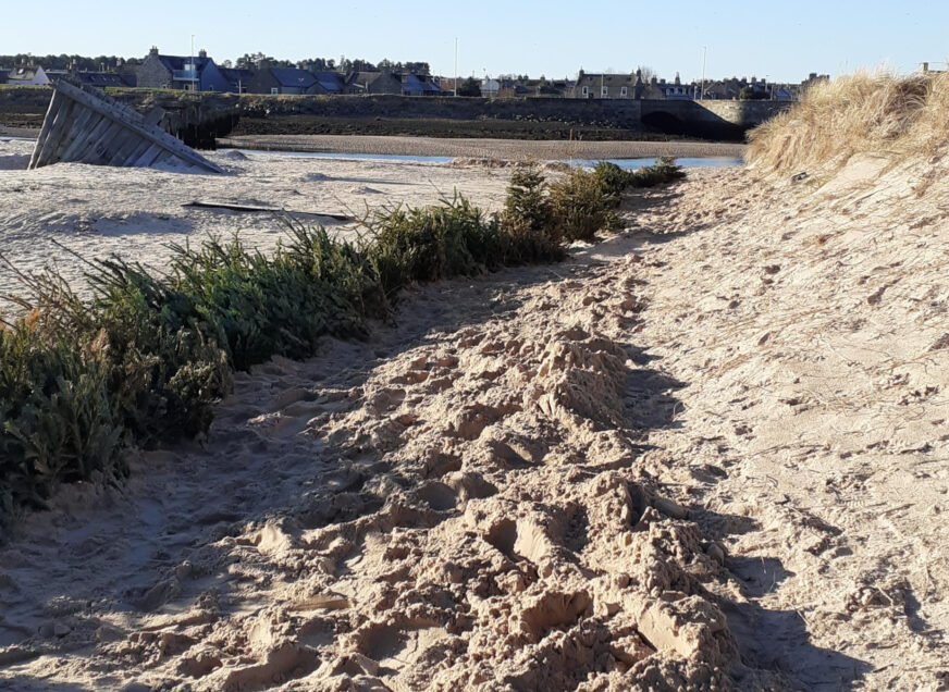 Award Recognition for Moray Councillors, Staff and Projects