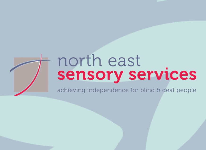 NESS reaches Investors in People Awards final