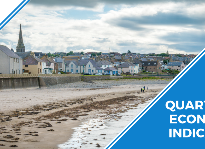 Let us know how you are doing: The SCC Network’s QEI survey 2021