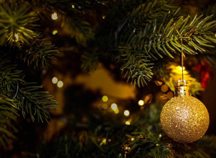 Moray Council's Christmas and New Year Service Arrangements 2025/26