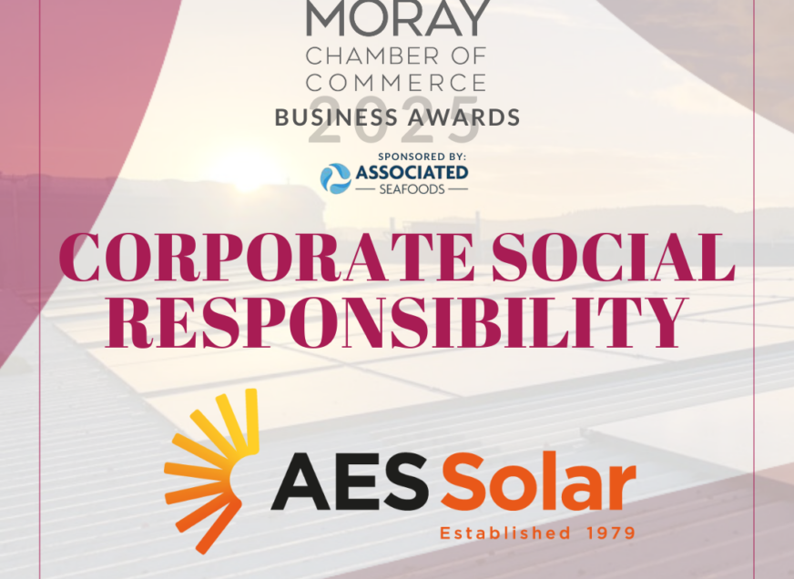 Finalist Spotlight 2025: Corporate Social Responsibility Award - AES Solar
