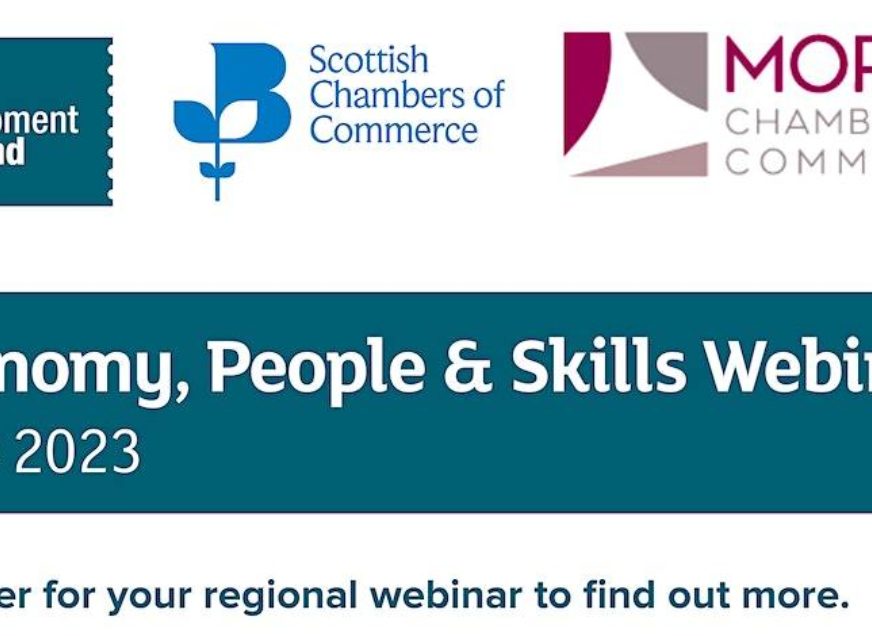 Labour Market Insights & Skills Support
