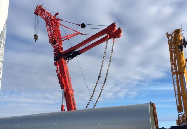 North East Certification Ltd