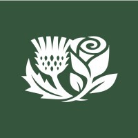Thistle Rose Recruitment